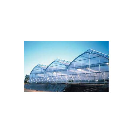 PLASTICO DE INVERNADERO 10 ANCHO X 50 MTS. CALIBRE 6