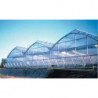 PLASTICO DE INVERNADERO 10 ANCHO   X 50 MTS. CALIBRE 6