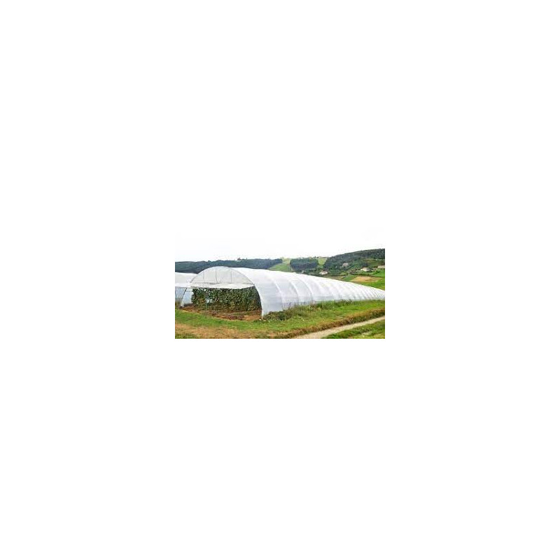 PLASTICO DE INVERNADERO 3 ANCHOX 100  MTS. CALIBRE 6