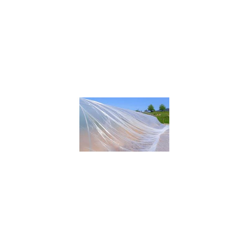 PLASTICO DE INVERNADERO 5 ANCHOX 70  MTS. CALIBRE 6
