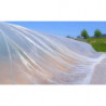 PLASTICO DE INVERNADERO 5 ANCHOX 70  MTS. CALIBRE 6